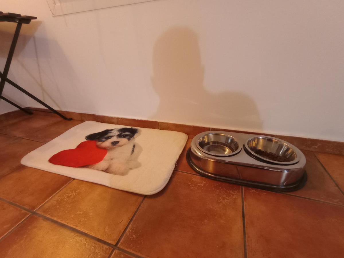 Casa De Campo Los Manueles Ideal Perros Pet Friendly Gojar Zewnętrze zdjęcie
