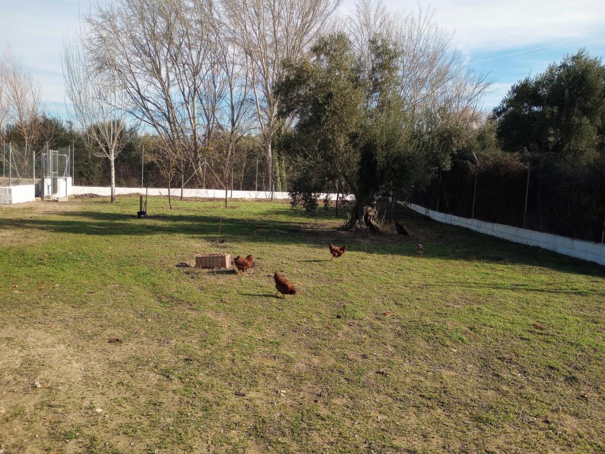 Casa De Campo Los Manueles Ideal Perros Pet Friendly Gojar Zewnętrze zdjęcie