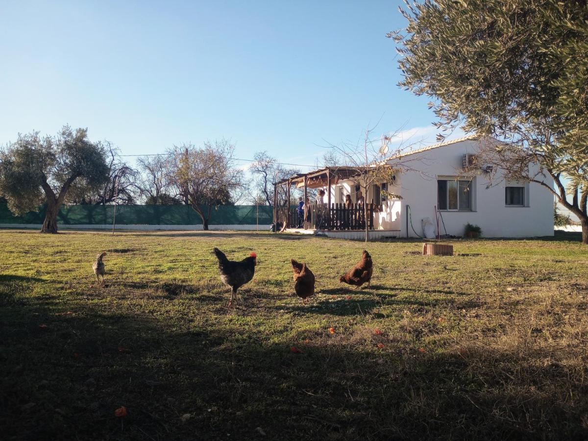 Casa De Campo Los Manueles Ideal Perros Pet Friendly Gojar Zewnętrze zdjęcie