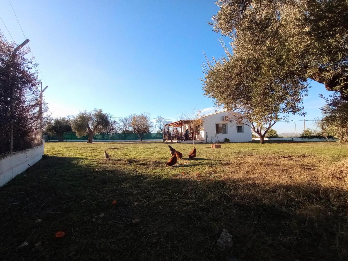 Casa De Campo Los Manueles Ideal Perros Pet Friendly Gojar Zewnętrze zdjęcie