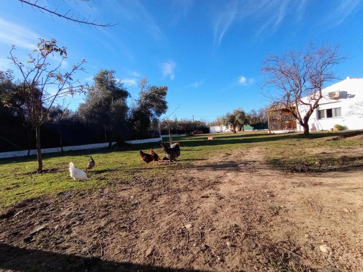 Casa De Campo Los Manueles Ideal Perros Pet Friendly Gojar Zewnętrze zdjęcie