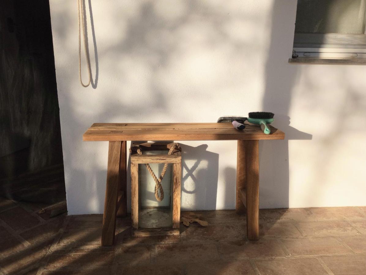 Casa De Campo Los Manueles Ideal Perros Pet Friendly Gojar Zewnętrze zdjęcie