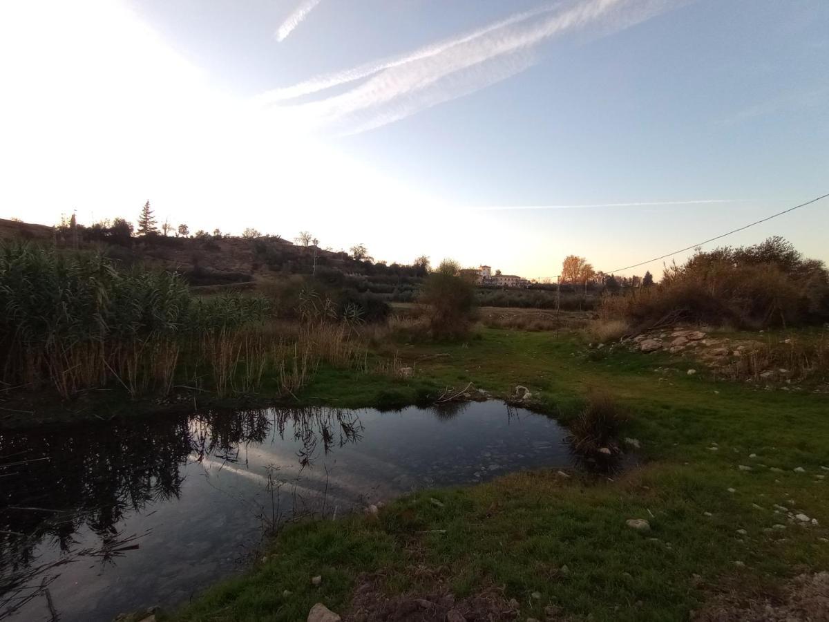 Casa De Campo Los Manueles Ideal Perros Pet Friendly Gojar Zewnętrze zdjęcie