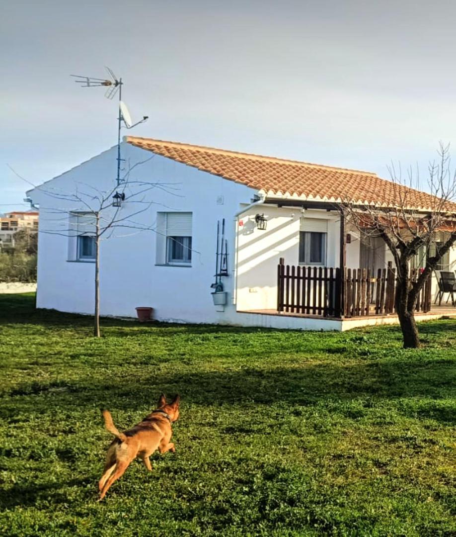 Casa De Campo Los Manueles Ideal Perros Pet Friendly Gojar Zewnętrze zdjęcie