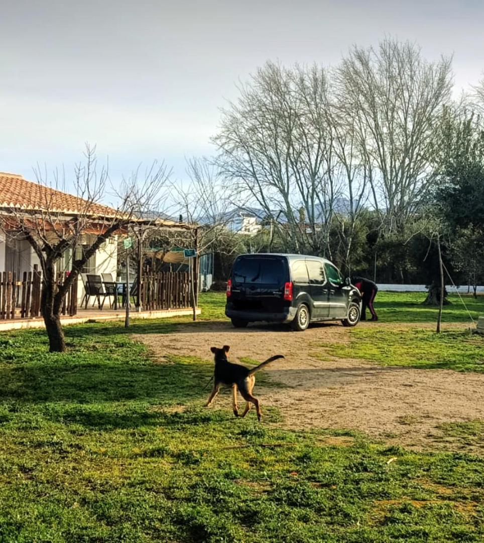 Casa De Campo Los Manueles Ideal Perros Pet Friendly Gojar Zewnętrze zdjęcie