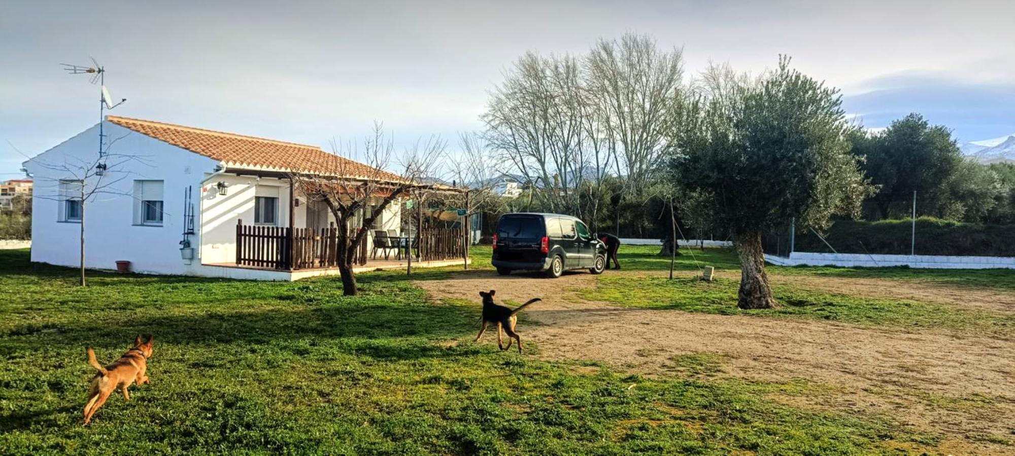 Casa De Campo Los Manueles Ideal Perros Pet Friendly Gojar Zewnętrze zdjęcie