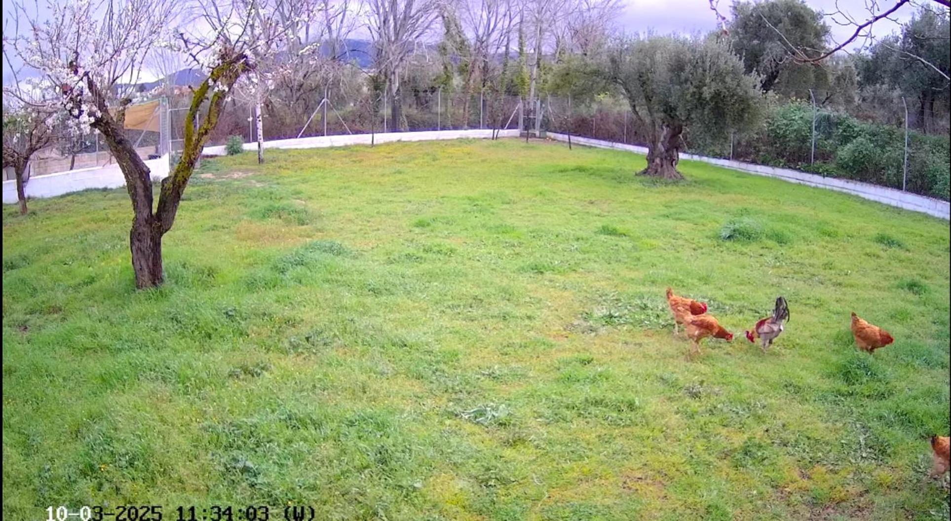 Casa De Campo Los Manueles Ideal Perros Pet Friendly Gojar Zewnętrze zdjęcie